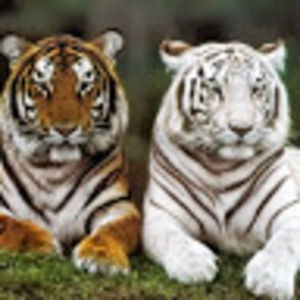 Meet your Posher, Meredith